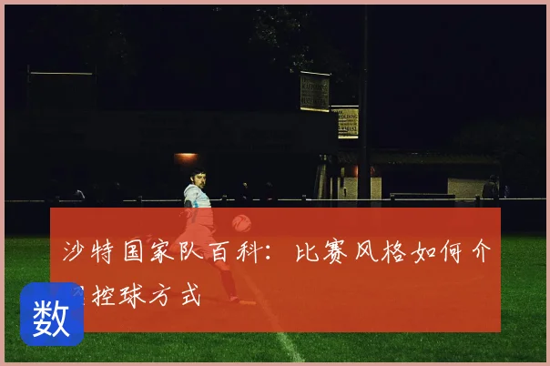 沙特国家队百科：比赛风格如何介绍控球方式
